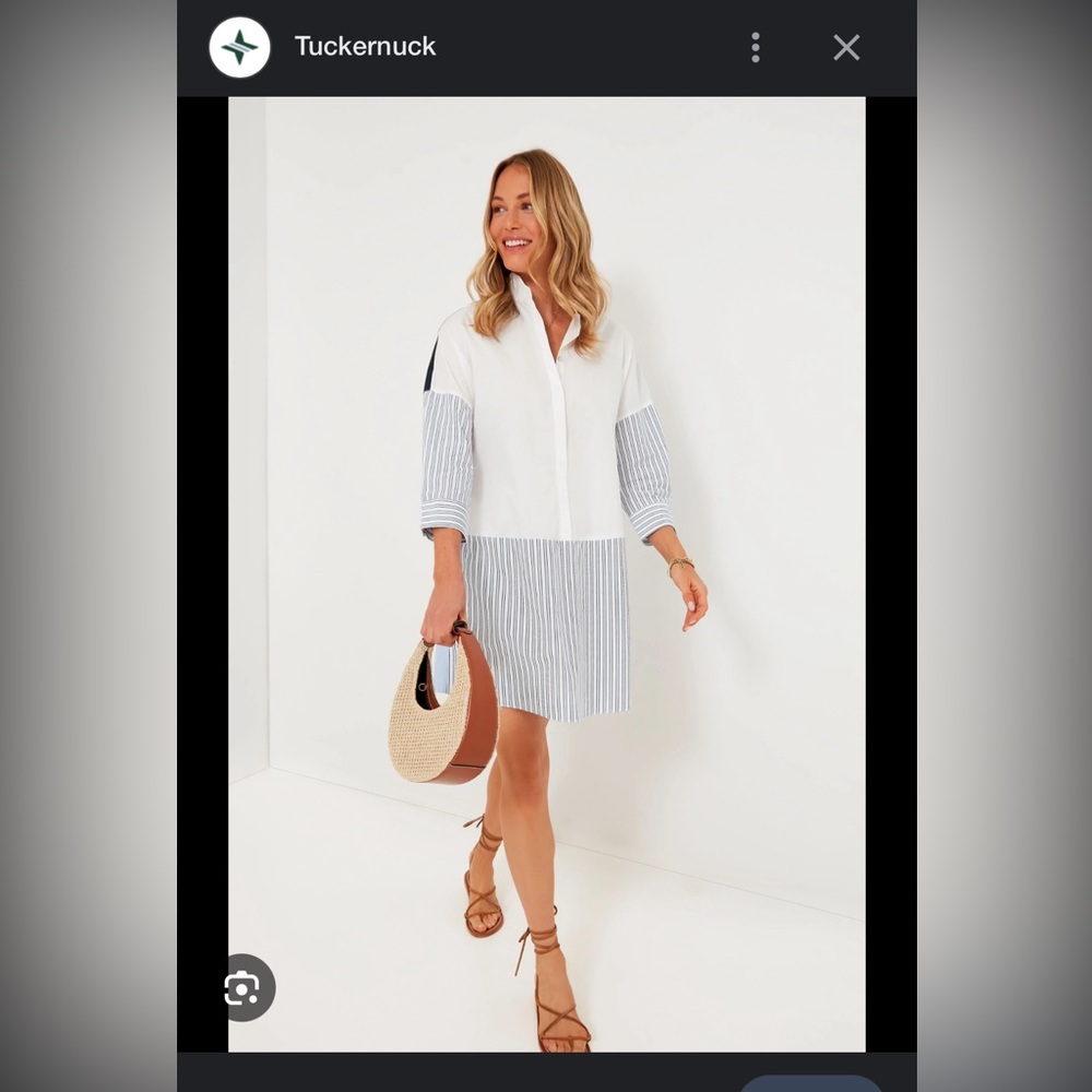 Pomander Place Colorblock Burnell Shirt Dress. Size Large